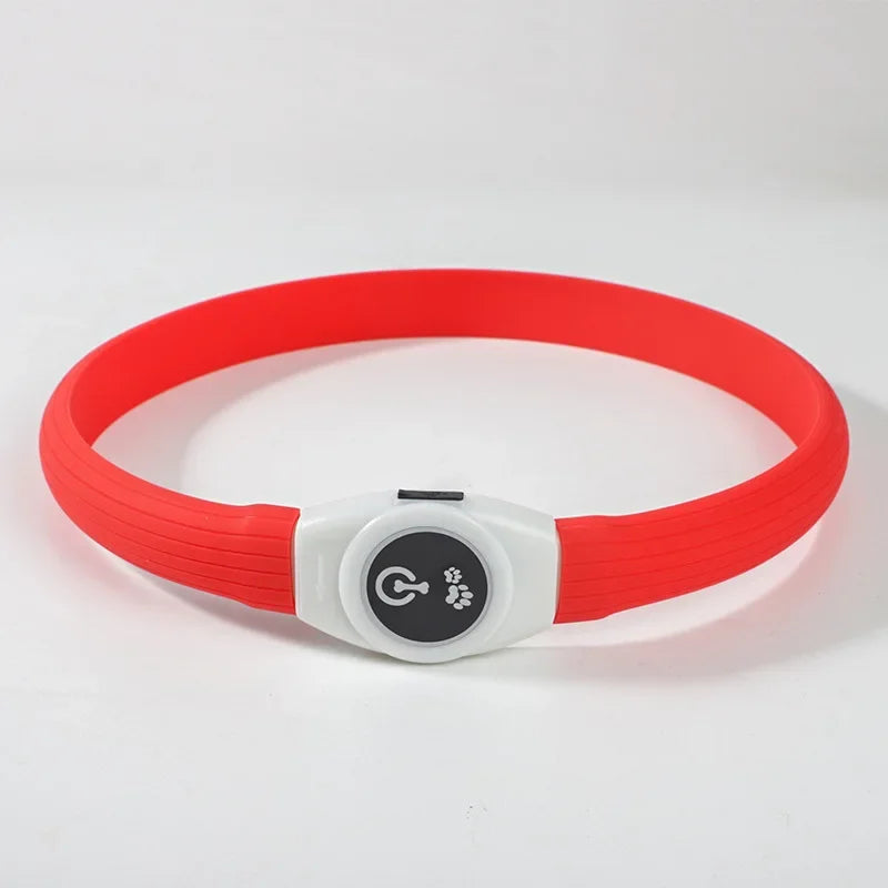 E.ECOPET - Led Dog Collar #1