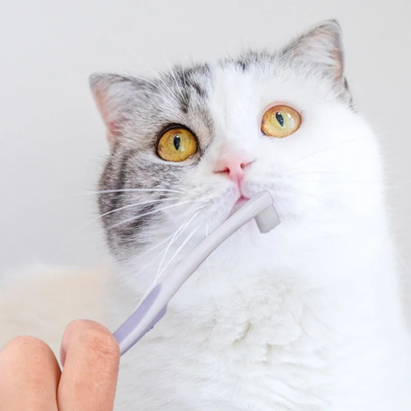 E.ECOPET - Toothbrush #2
