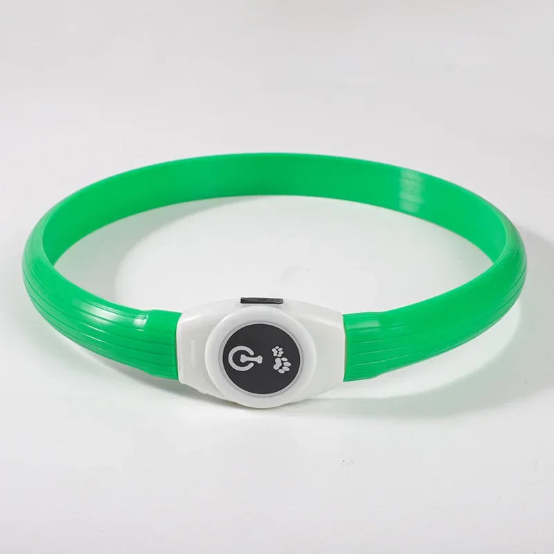 E.ECOPET - Led Dog Collar #1