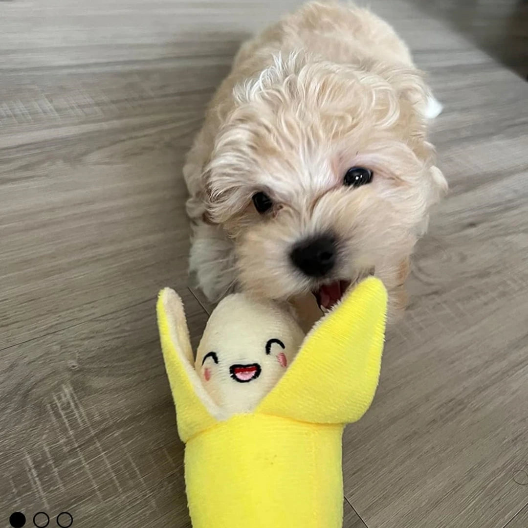 E.ECOPET - Toys Set #7