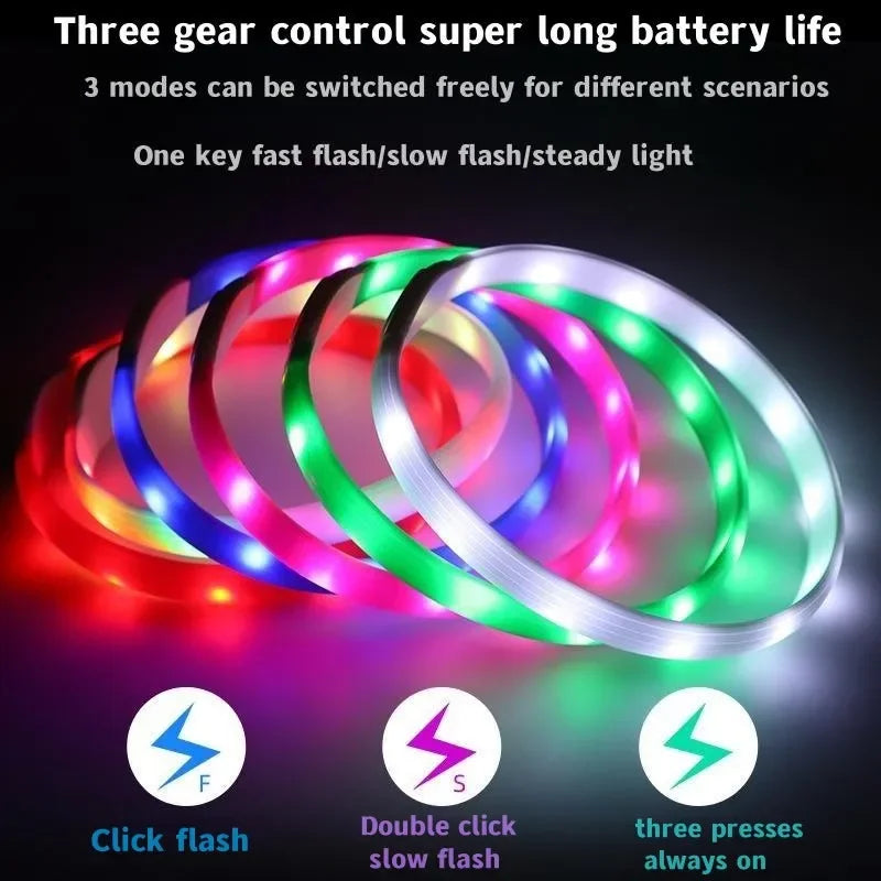 E.ECOPET - Led Dog Collar #1