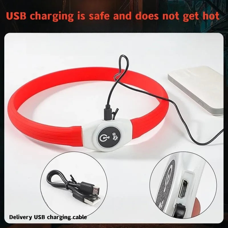 E.ECOPET - Led Dog Collar #1