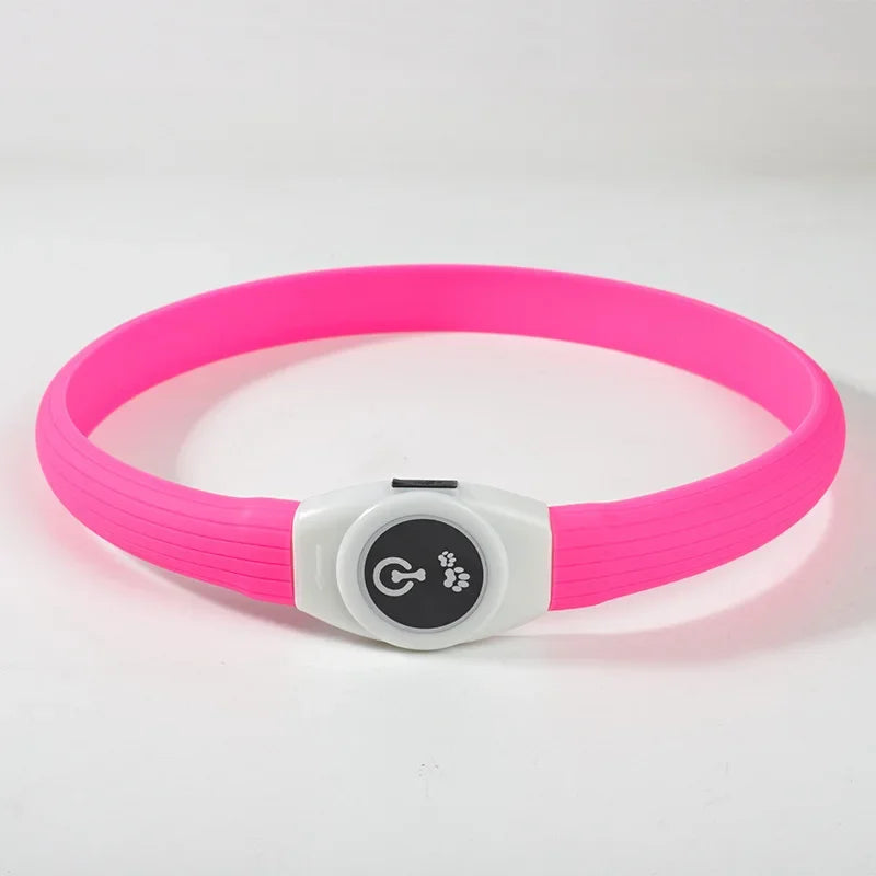 E.ECOPET - Led Dog Collar #1