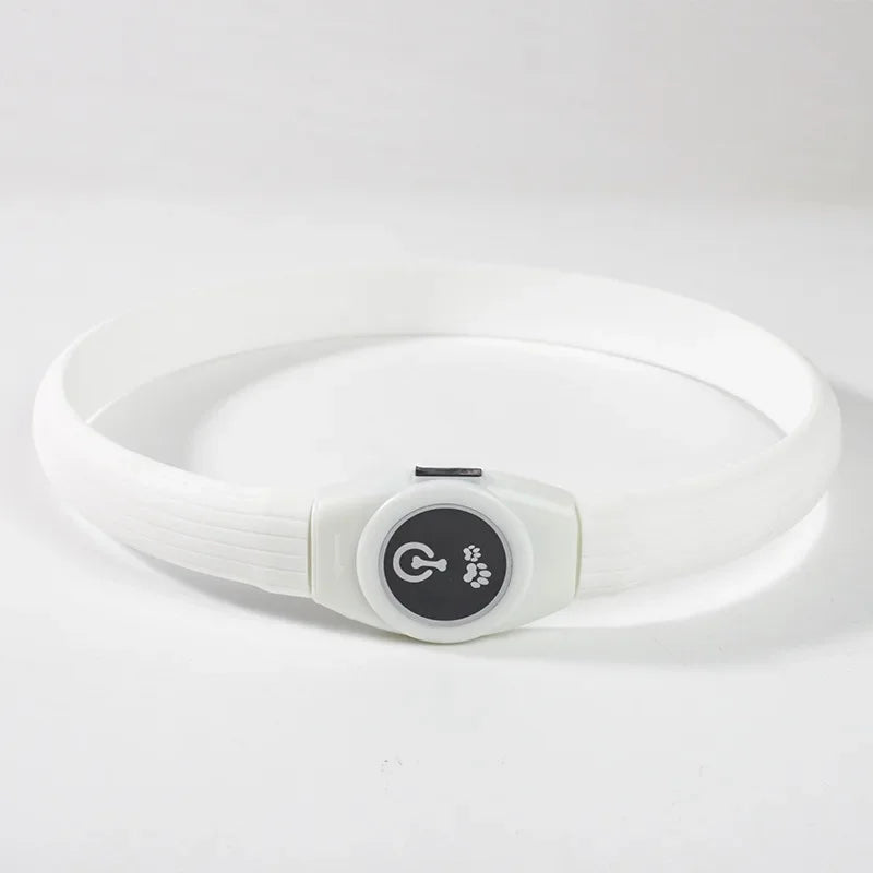 E.ECOPET - Led Dog Collar #1