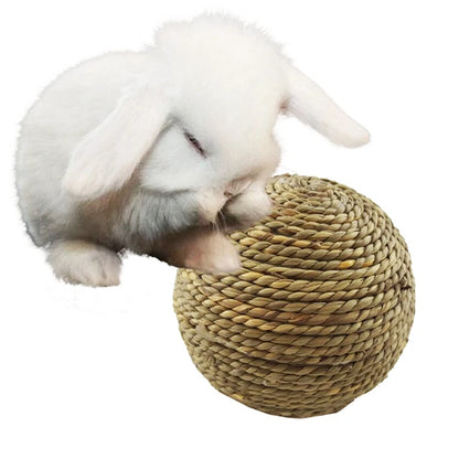 E.ECOPET - Set Balls Toys #8
