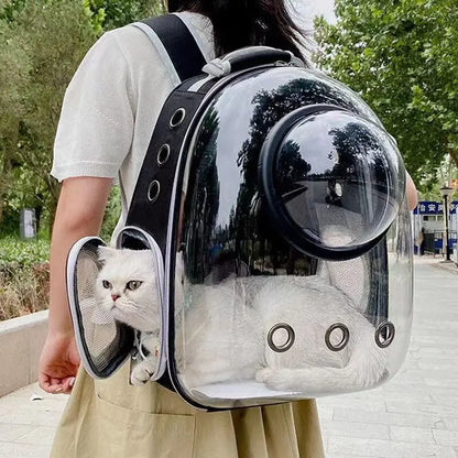 E.ECOPET - BagPack #1