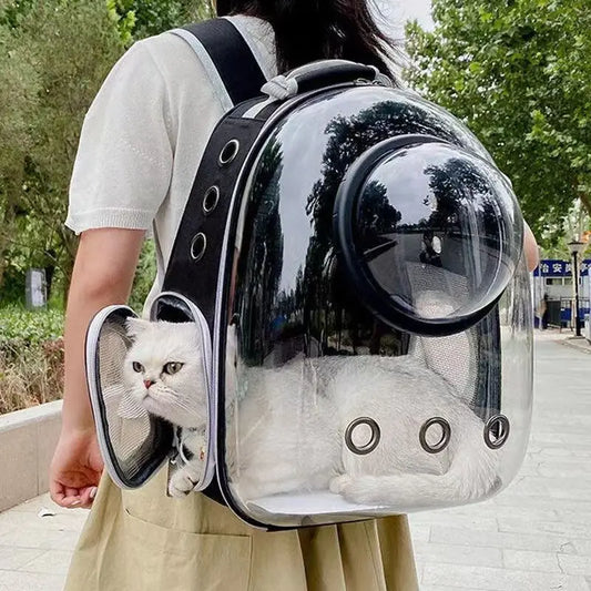 E.ECOPET - BagPack #1