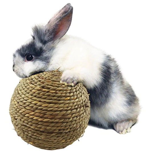 E.ECOPET - Set Balls Toys #8
