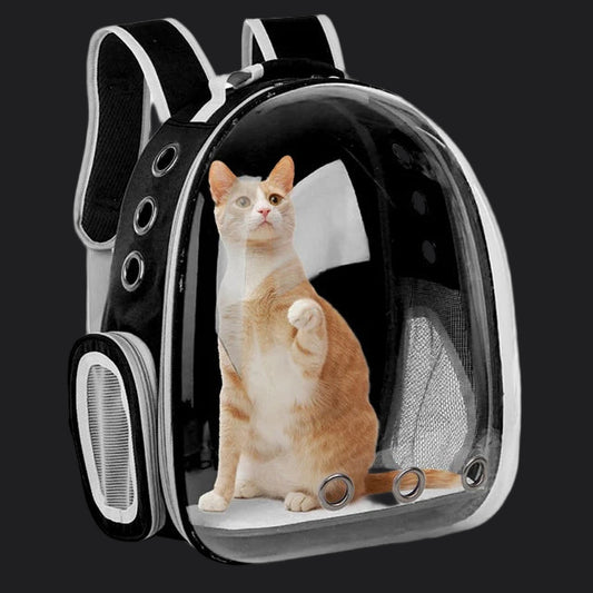 E.ECOPET - BagPack #1