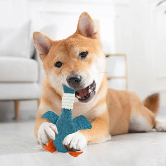 E.ECOPET - Toys #6