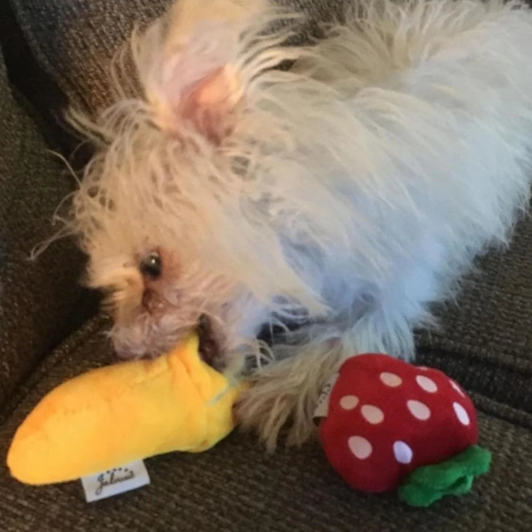 E.ECOPET - Toys Set #7
