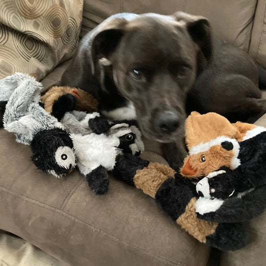 E.ECOPET - Toys #10