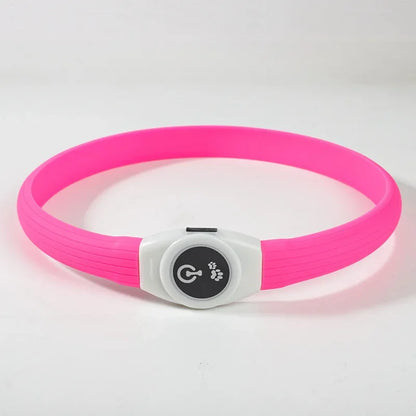 E.ECOPET  - Led Dog Collar #1