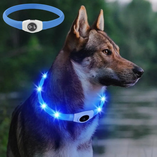E.ECOPET  - Led Dog Collar #1