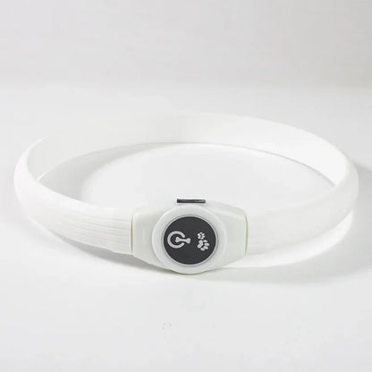 E.ECOPET  - Led Dog Collar #1